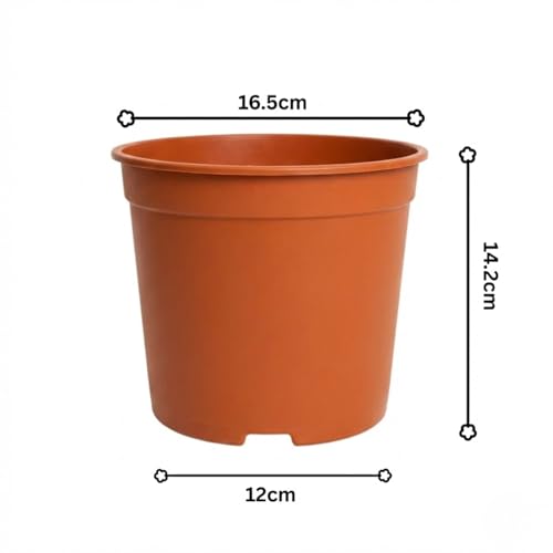 Image of 6 Inch Heavy Duty Plastic Planter | Grower Pot /Garden Pot for Home & Garden (Terracotta) (Pack of 6)