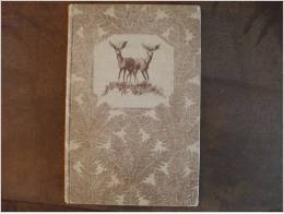 Hardcover Dash & Dart Book