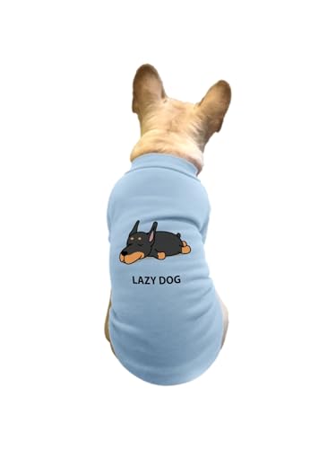 ���� ���� �h�[�x���}�� �� �y�b�g�� T�V���c �H�~ �g���[�i�[ �L�� �h�� �g���� �J�W���A�� ������� ������ ���[���E�F�A ���� �E�ѕی� ���o���� �U�� S