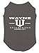 Wayne Enterprises - Parody Cool Dog Shirt (Dark Gray, 2X-Large)