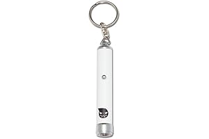 Soul Eater Logo Illuminating Keychain