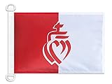 AZ FLAG
