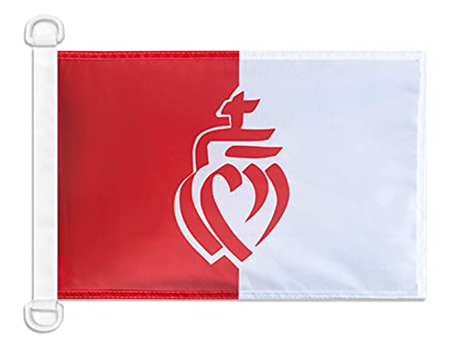 AZ FLAG - Drapeau Département de la Vendée - 45x30 cm - Pavillon Nautique Cœur Vendéen Spécial Bateau Et Extérieur En Maille Bloquée Avec Anneaux Plastiques Intégrés - 30g