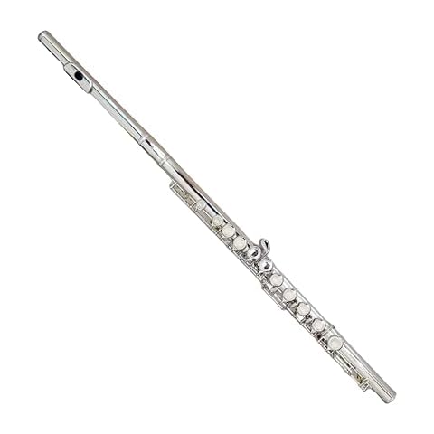 Deloitte C Flute DFL-101 Cover