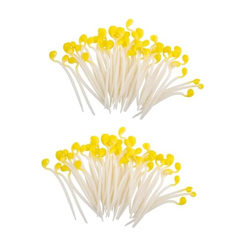 PERSELOSO 50 胊AlH₵͌^ Ɨp~[Xܑ tFCN؃fBXvC  ʐ^ Xܒ