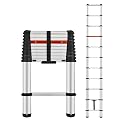 Telescoping Ladder, ICARRY 10.8 FT Aluminum Lightweight Extension Folding Telescopic Ladder Soft Close Design Multi-Purpose Ladder, Heavy Duty 250lbs Capacity for RV or Outdoor Work