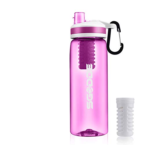 SGODDE Water Filter Bottles, 2019 Latest Filtered Water Bottle Filter Straw BPA Free for Hiking, Camping, Backpacking and Travel Rose Red