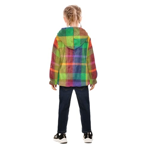 GuoChe Rainbow Plaid Sherpa Jacket4