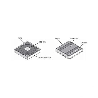 XLamp Cree XPE Emitter - Cool-White 5000K Pack of 3