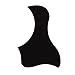 Pakala66 Acoustic Guitar Pickguard Pack of 5, Hummingbird and Water Shaped Self Adhesive
