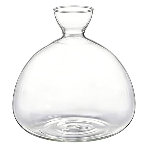 Sacolin Jarrón hidropónico de aguacate, maceta grande de vidrio con cuello estrecho, 5.9 x 5.9 pulgadas, contenedor de germinación de plantas de alta transparencia, iniciador de aguacate fácil de