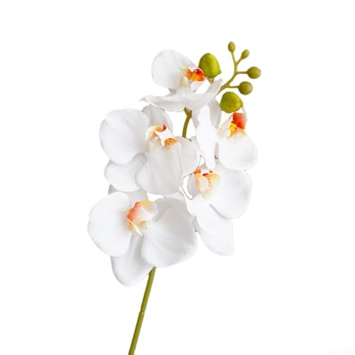 Besttoolifes Paquete de 5 flores artificiales Phalaenopsis de 18 pulgadas, color blanco, luz para rosa, naranja, orquídeas artificiales para decoración del hogar (blanco)