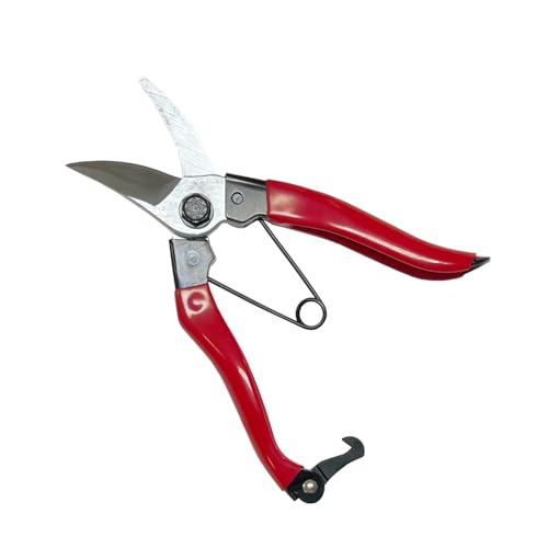 EBU(WIZ'A) A[NhTJg ^ ԃObv 180mm 726283