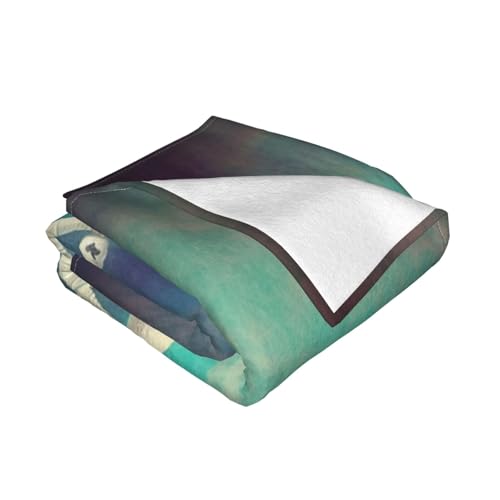 Couverture en microfibre blanche 203x152 cm OUSIKA