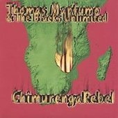 Pochette de Chimurenga Rebel & Manhungetunge