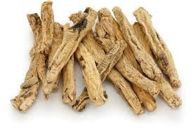 NY Spice Shop Codonopsis Pilosula Dang Shen - 8 Ounce Dried Bulk Herb Roots Radix Codonopsis Dang Shen for Herbal Tea & Tinctures - Herbs Dangshen Raw from Chinese Gansu