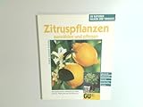 Zitruspflanzen auswählen und pflegen