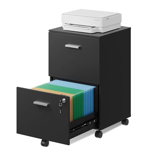 DEVAISE 2 Drawer File Cabinet, Mobile Printer Stand, Wood Filing Cabinet fits A4 or Letter Size for...