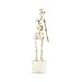 Kikkerland Skeleton Lazy Bones Sculpture, Tan