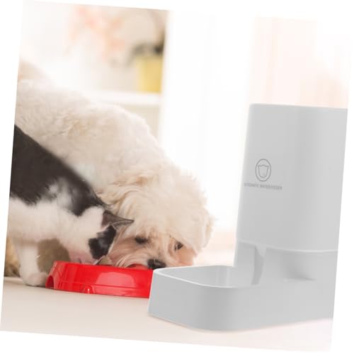Dispensador de agua automático para mascotas Toddmomy miniatura 4