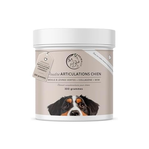 Poudre Articulation Chien 300g avec MSM, Poudre de Moule Verte pour Chien et collagène – Poudre pour Soutenir Anti inflammatoire Chien et arthrose Chien Traitement – Glucosamine chondroïtine Chien