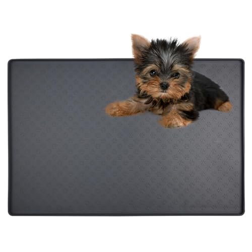 Lifetips [NV[eA gC}`FX^[eA ybggC}bg VR h ~ 􂦂  L V[gh~ g[p t[Oی ybggC}bg VR}bg ΍ gCV[gŒ h 