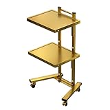 2-stufiger servierwagen mit Rollen, Transportwagen, Küchenwagen aus Edelstahl, Reinigungswagen, for Kosmetikerinnen, Salonstudios und Geschäfte(Gold)