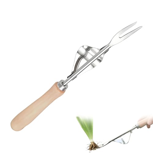 Strumento per la rimozione delle radici ' , cambio manuale in acciaio inox, rimozione delle radici per giardino, giardino, giardino, giardino, patio, patio per donne e uomini