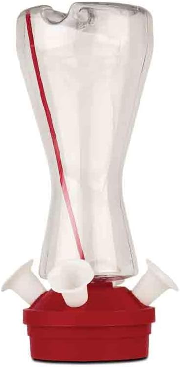 Pennington Glass 16 Oz 8 Port Hummingbird Nectar Feeder with Ant Moat & Hanger