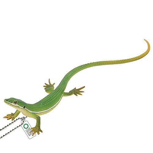 lC`[eNjJ[ MONO PLUS gJQƃ }Olbg&{[`F[ [12.AIJiwr(X) {[`F[](Pi) K`K` JvZgC