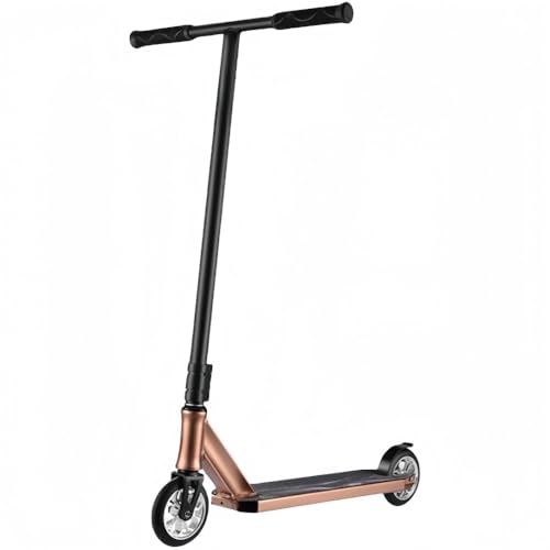 YFFYqAeB[Al1X^gXN[^[-ђ̃gbNXN[^[AN[ȃreBXN[^[, ^тɕ֗j̎qƏ̎q̃t[X^CLbNXN[^XP[gp[NXg[ggbN̂߂̍\Mtg (R[q[F)