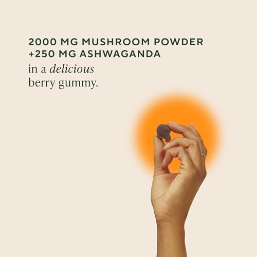 OM MUSHROOM SUPERFOOD 0850030553836 Mushroom Supplement