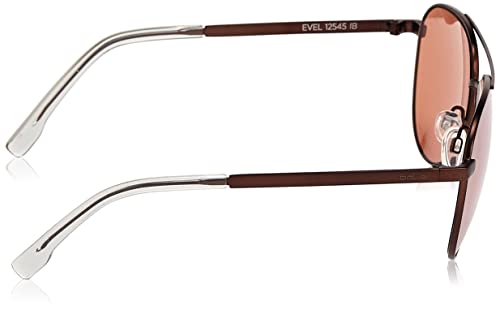 Bolle Evel Sunglasses3
