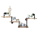 Mdjwjj Industrial Pipe Shelves Wall Mounted Rustic Floating Shelves 4 Layer Ladder Hanging Bookshelf DIY Pipe Shelving for Bedroom Office Kitchen