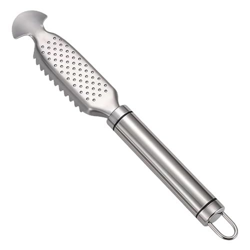Jecdfs Escamador de Pescado Profesional en Acero Inoxidable 304 - Raspador de Escamas con Dientes de Sierra 23cm - Herramienta de Cocina para Mariscos, Pescaderías y Uso Doméstico