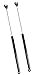 4870 Honda Civic 3 Door Hatchback 1996-2000 Hatch Lift Supports Strut, Set of 2