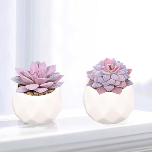 Duscdesp Set of 4 Fake Plants Artificial Succulent Plants, Pink Faux Plants for Indoors, Artificial Plants Indoor Plastic Plants Desk Plant Pink Accessories for Bathroom Office Decor, Pink