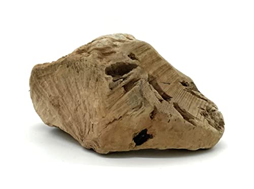 Kork-Deko Kauwurzel für Hunde | Kauspielzeug aus Wurzel der Baumheide | Nachhaltig, unbehandelt & unbedenklich | Natürlicher Kauknochen ohne Kalorien | Bruyère Holz aus Portugal