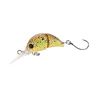 Amazon.co.jp: シマノ(SHIMANO) ルアー カーディフ ちびとろ 25F TR