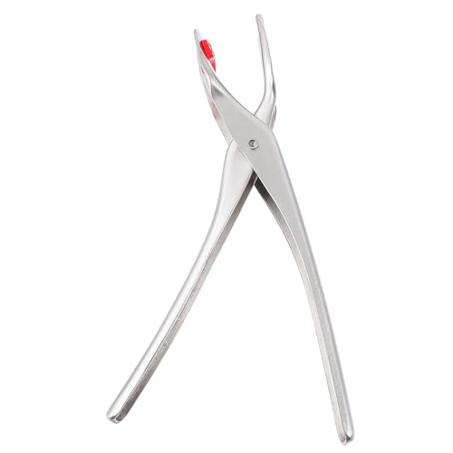 Mobestech XeXh?Nbv Hp~߃v[gNv ϔM{EObp[ Lb`pdMΉ ݌v