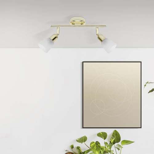 Lightbox Tubo de foco Basic - 10 x 33 x 22 cm - focos de techo funcionales con pantallas de cristal y cabezales orientables - 2 x E14, máx. 40 W - de metal/vidrio - en colores latón/alabastro blanco