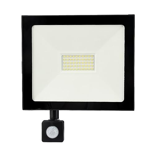 Projecteur LED 50W extérieur DELURA avec spot lampe PIR de sécurité pour terrasse et grand jardin