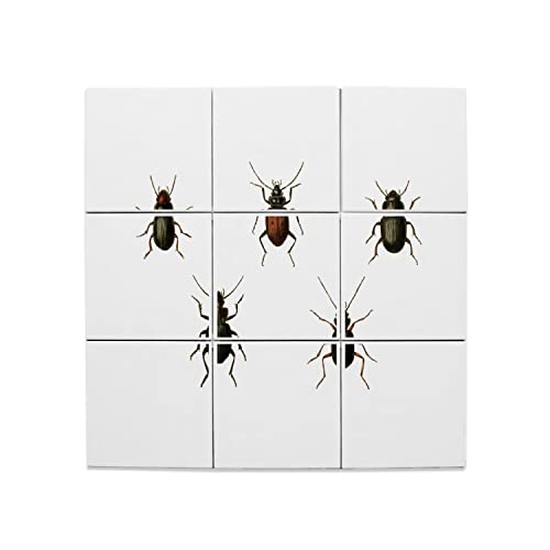 Carreaux Céramique Insectes Minimalistes 15x15 cm Lot de 9 Décorations Murales 45x45 cm