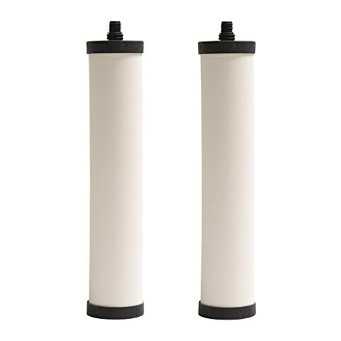 Franke FRC06-2PK Cartridge, 2 Count (Pack of 1), White Cover