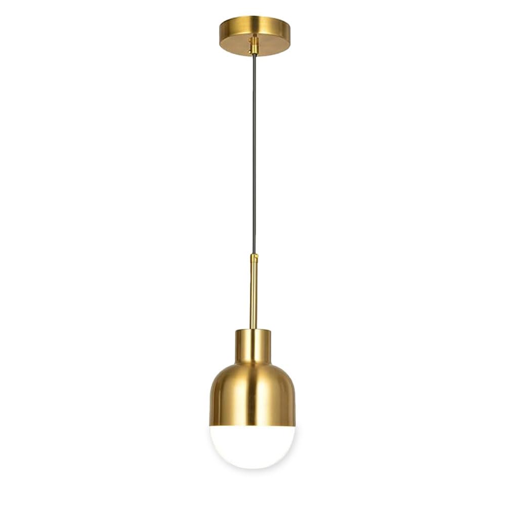 ZGDHWCR Modern Style Iron Hanging Lamp, E26 Light Source Adjustable Height Pendant Light, Single Head Flush Mount Chandelier, Living Room Restaurant Balcony Decoration Light Fixtures