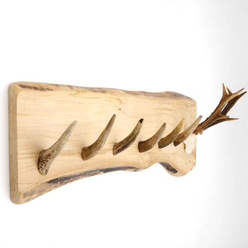 GTK - Geweihe & Trophäen KRUMHOLZ Geweih Garderobe mit 6 Haken aus Rothirschspitzen auf Holzbrett Rehgeweih Wandgarderobe Unikat 27.8.89