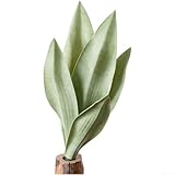 WIIYENA Künstliche PVC-Schlangenpflanze für mühelose Heimdekoration, Hochzeitsarrangements und Foto-Requisiten, 33 cm hoch