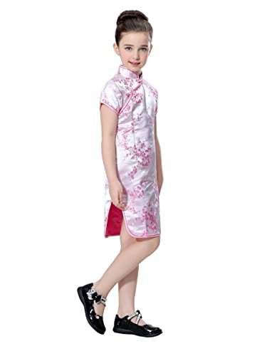 Girls Wintersweet Blossom Chinese Qipao Dress3