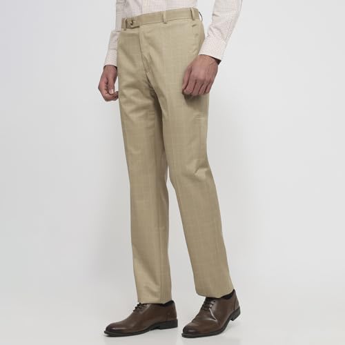 Image of Raymond Contemporary Fit Dark Fawn Trouser for Men