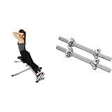 Sunny Health and Fitness 45 Degree Hyperextension Roman Chair, Steel, Grey, One Size + 35.5 cm Threaded Chrome Dumbbell Bar